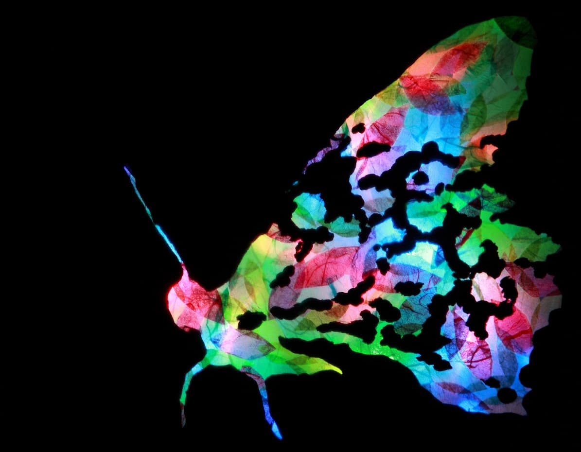 Flying Light 4