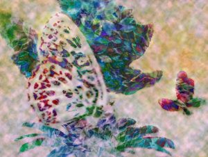 Flying Light 8